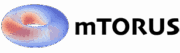 mtorus logo